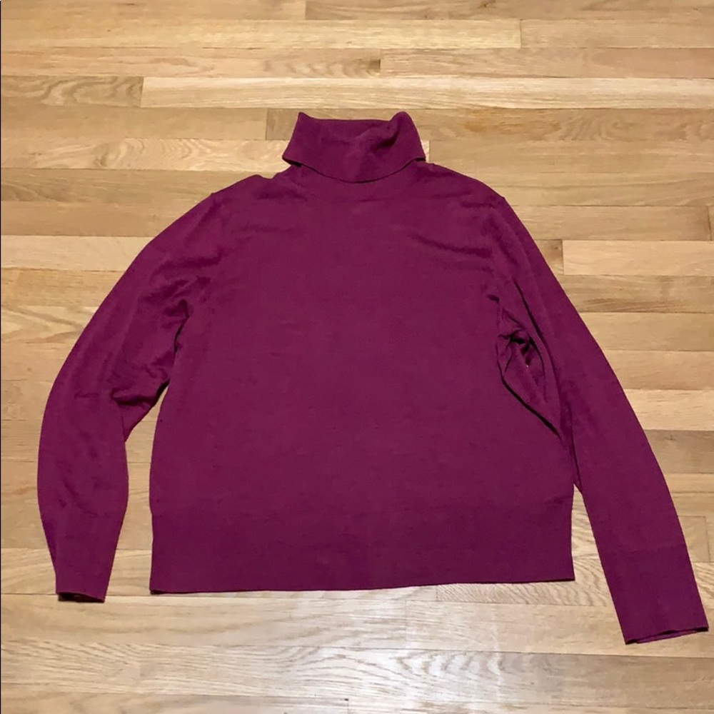 Gap Extra Fine Merino Wool Turtleneck Sweater